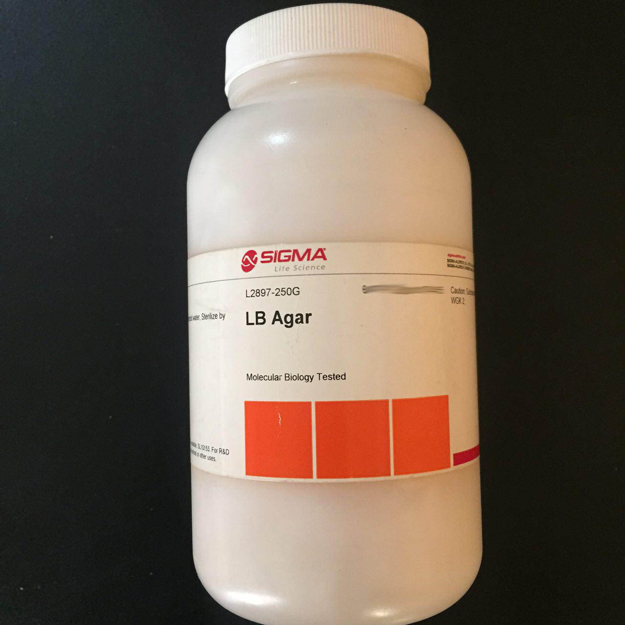 LB Broth with agar (Lennox)