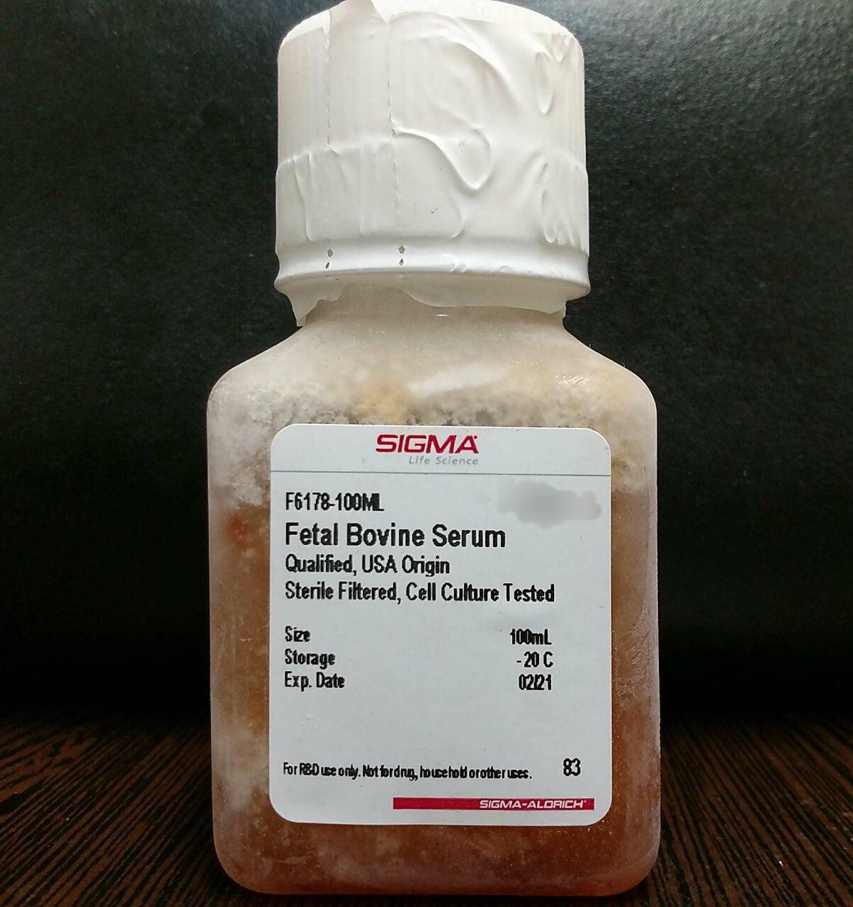 Fetal Bovine Serum