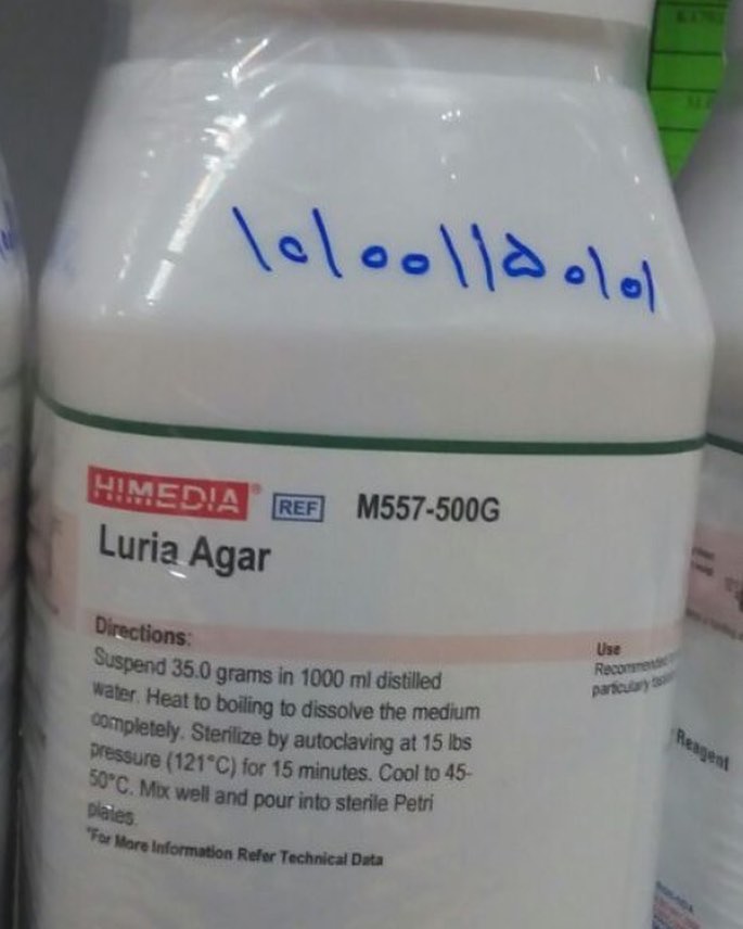 Luria agar